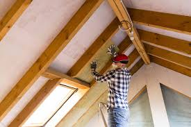 Best Commercial Insulation Services  in Willow Park, TX