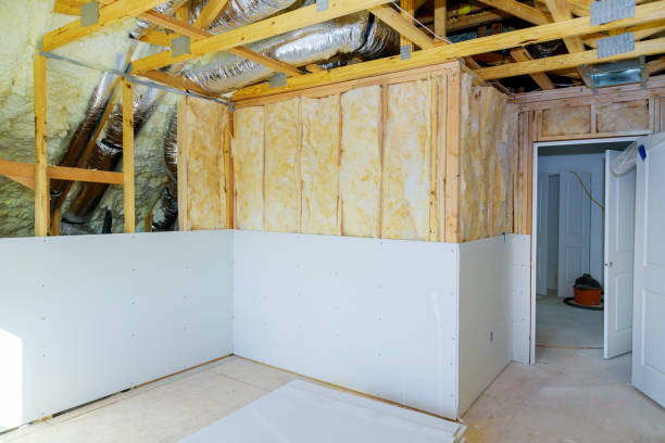 Best Insulation for New Construction  in Willow Park, TX